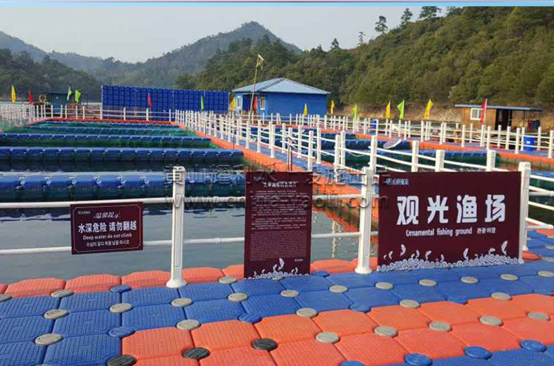 网箱养殖平台、水上钓鱼平台、观光渔场三-1.jpg